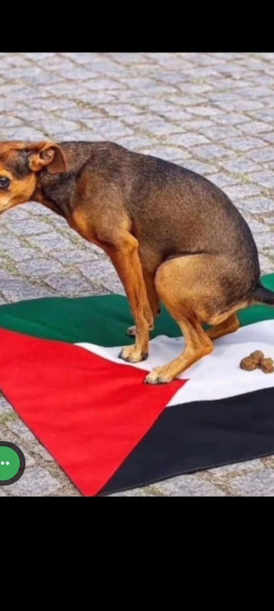 Palestishit's tweet photo. @PalomaresTxema https://t.co/somCRPaGDl
