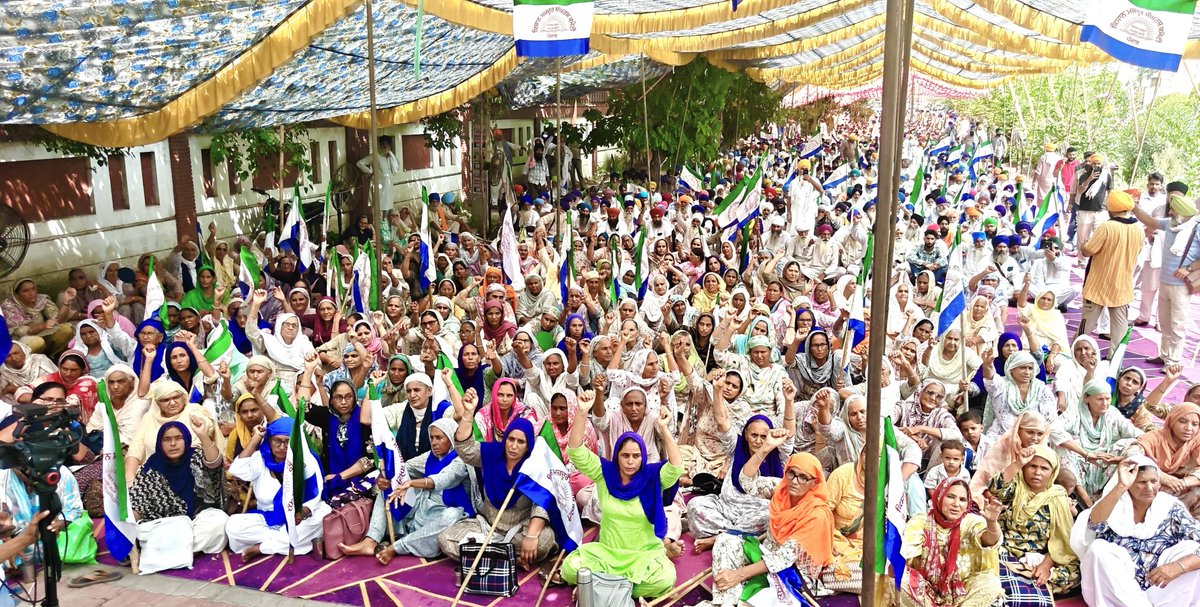 KmscKmsc2000's tweet photo. 31 ਅਗਸਤ ਦੇ 22 ਡੀਸੀ ਦਫ਼ਤਰਾਂ ਤੇ ਕੀਤੇ ਗਏ ਇੱਕਠਾਂ ਵਿੱਚੋਂ ਕੁਝ ਤਸਵੀਰਾਂ। https://t.co/shmFWNV3Nj