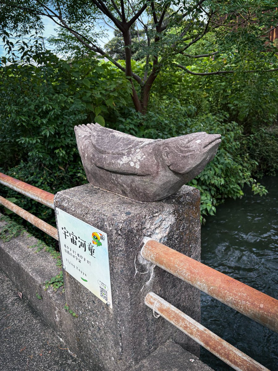 molokheism's tweet photo. 他にも良かったカッパたち https://t.co/mPmQ3MuZOt