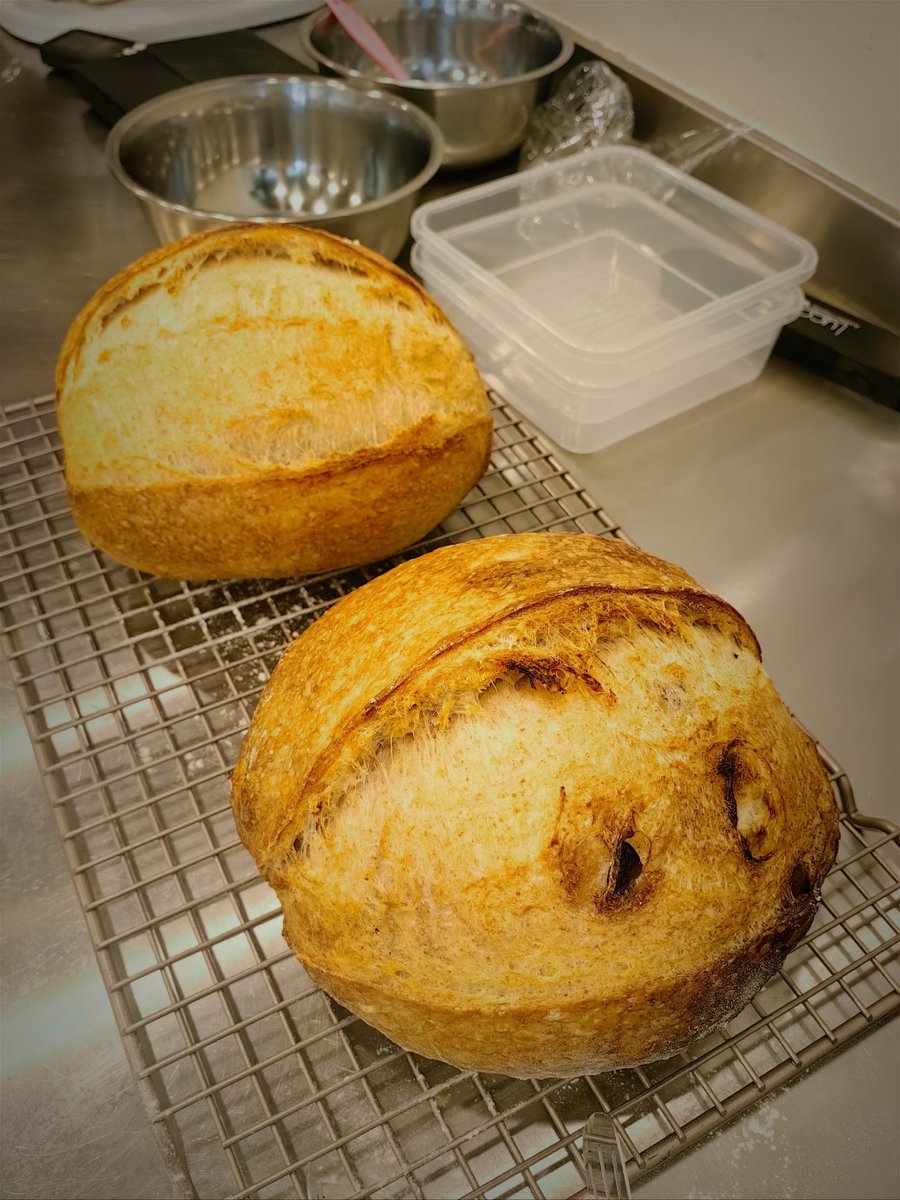 FatmaCandvwd's tweet photo. Just baked my first homemade sourdough loaf  Crusty exterior, airy inside, and the whole kitchen smells like heaven! Success tastes even better than I imagined https://t.co/PH63jnwqGB