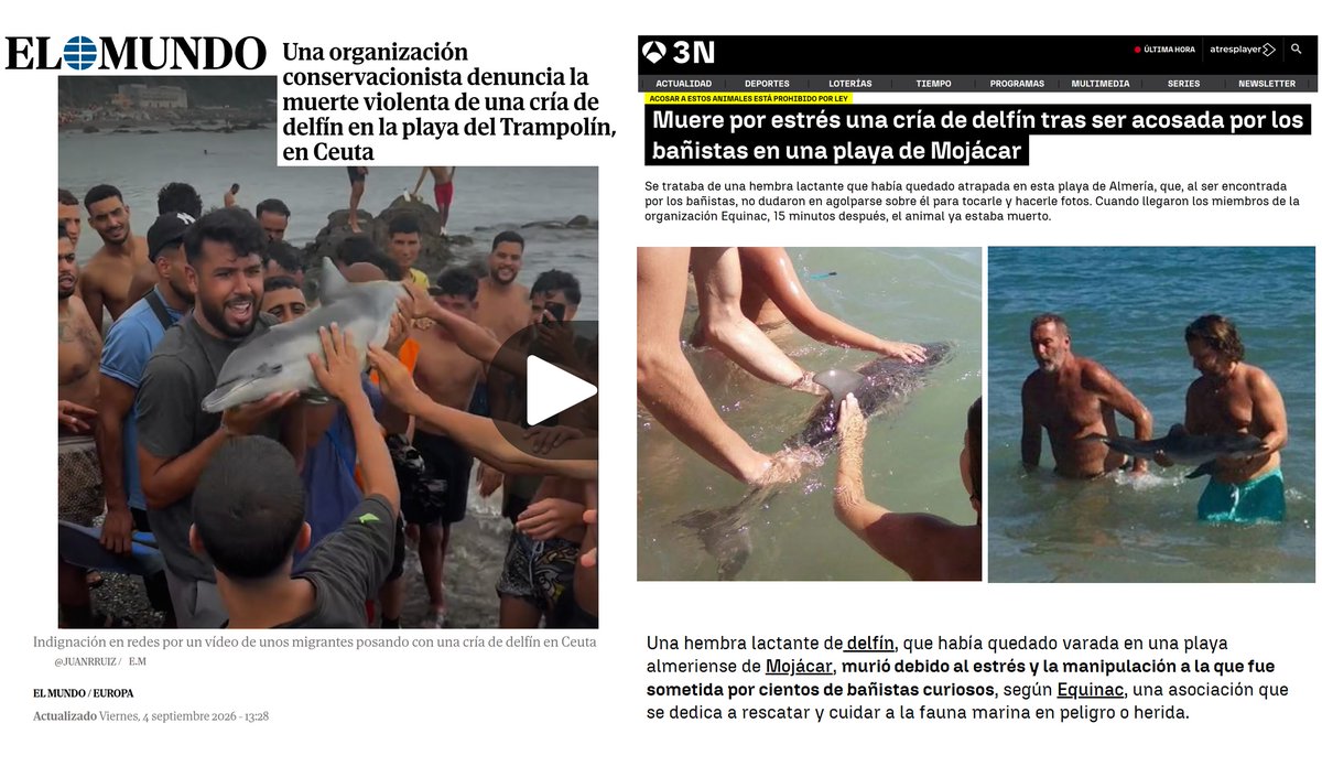 DrBioblogo's tweet photo. Ahora hay gente preocupadísima por los delfines en España... me refiero a gente que JAMÁS había dicho nada sobre delfines ni fauna silvestre.

Matar delfines es horrible, sí. Una especie inteligente, estrictamente protegida.
Siempre debería investigarse para castigar al culpable. https://t.co/i0tqVKMKEp