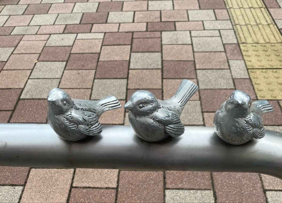 hitomitoguri's tweet photo. 息子が「友達とめちゃくちゃ良い公園見つけたから一緒に行こう！」と誘われて行ったら片道徒歩30分以上で疲れたけど大きな噴水がある緑が美しい公園で教えてくれてうれしかった。「お母さんにこのかわいい鳥を見せたかったんだよ」と言っていた。ありがとう。 https://t.co/4Co8j7dJFF