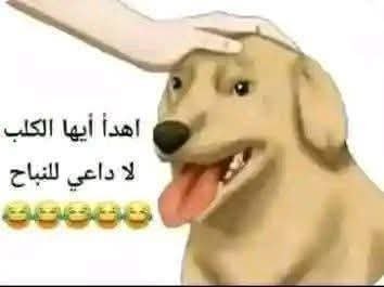 abutaleb1924's tweet photo. @awab_azzam https://t.co/4RW1VzVySF
