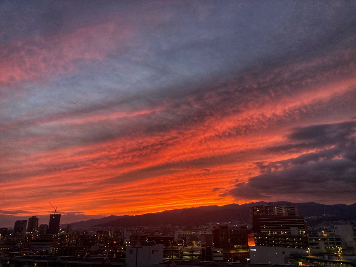 marorinyo's tweet photo. 空が綺麗 https://t.co/sPtEJhQDwI