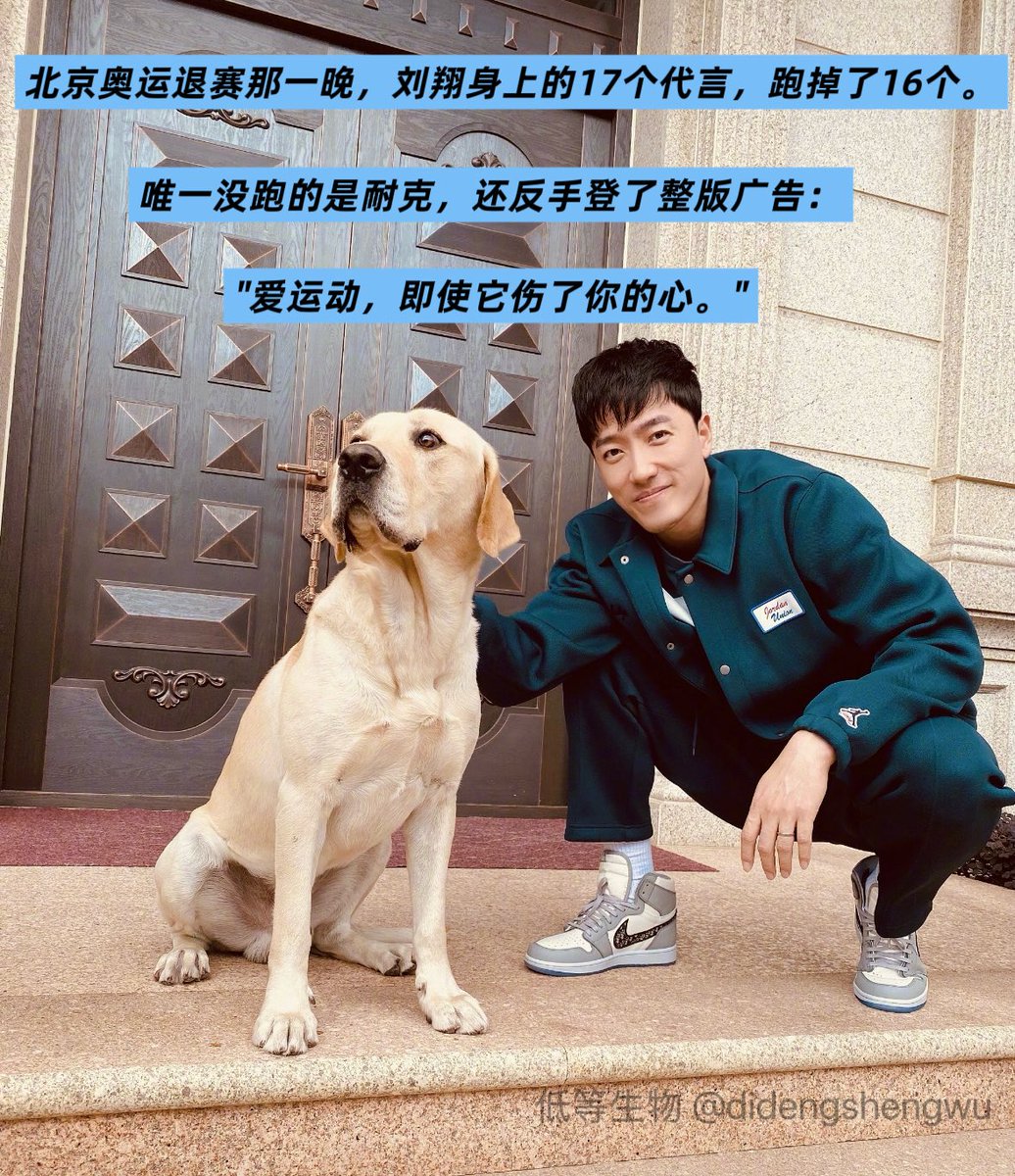 低等生物 的图片 2