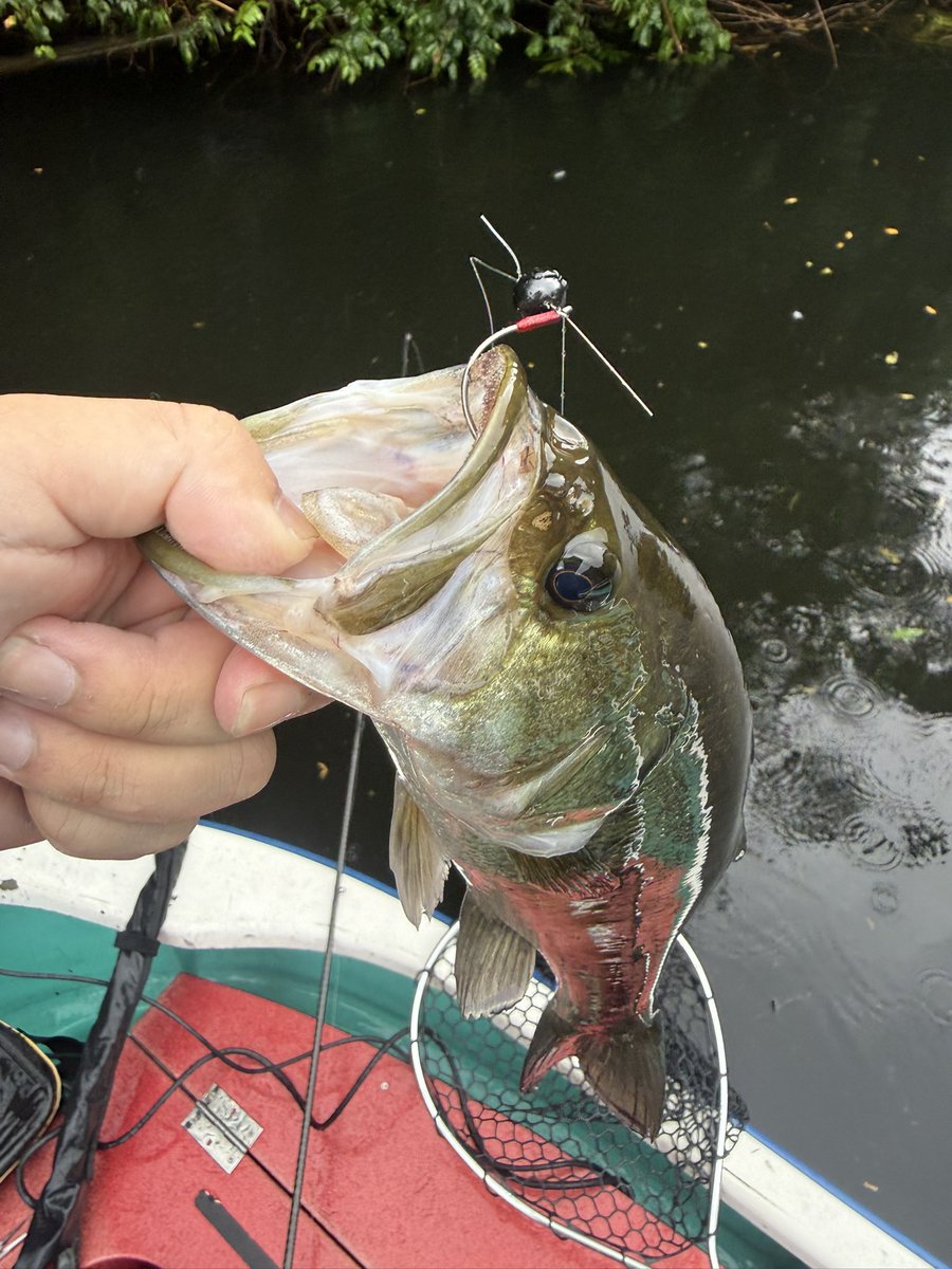 YFISHING52's tweet photo. このまま明日も雨やんでてくれりゃいいんだけどな

て事で明日もやろ お泊まり三島 https://t.co/chllpDy8g7