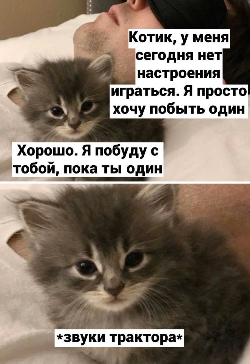 great_knee's tweet photo. Единственное, на чём держится моя кукуха https://t.co/898gvXXIRr