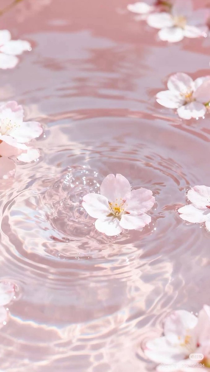 raspberrysheep's tweet photo. 詰め替えストック、気づいたら山盛りに。
使うたびにサッと補充するはずが、いつの間にか見ないフリ。
賢い収納も嬉しいけど、ズボラな自分も認めてあげたいな。 https://t.co/XJLWDFRFAE