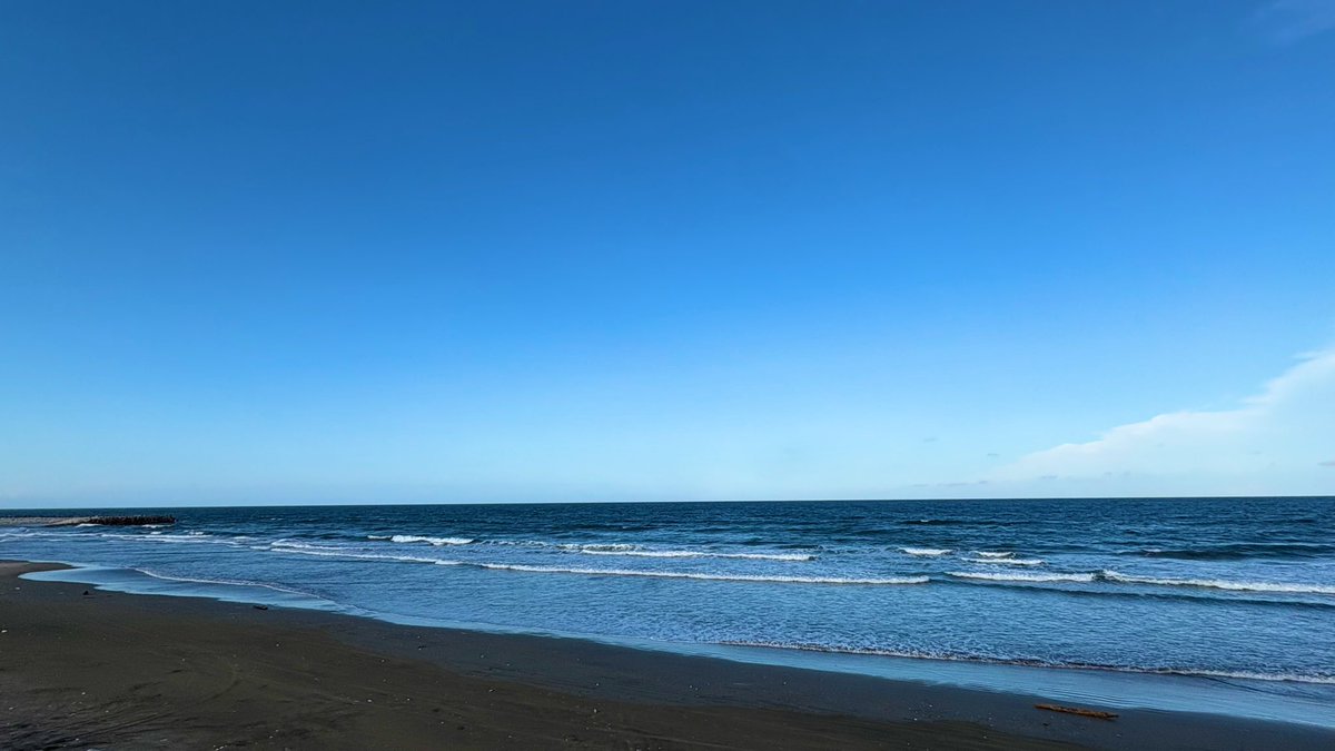 Kazahappy's tweet photo. 寝れずに明けた土曜日

ほうれん草の種まいて🌱
海入って、夕焼け散歩

世間は月見バーガー
ススキも月見の準備してる🌾

2026.9.5 https://t.co/xclc59SKCj