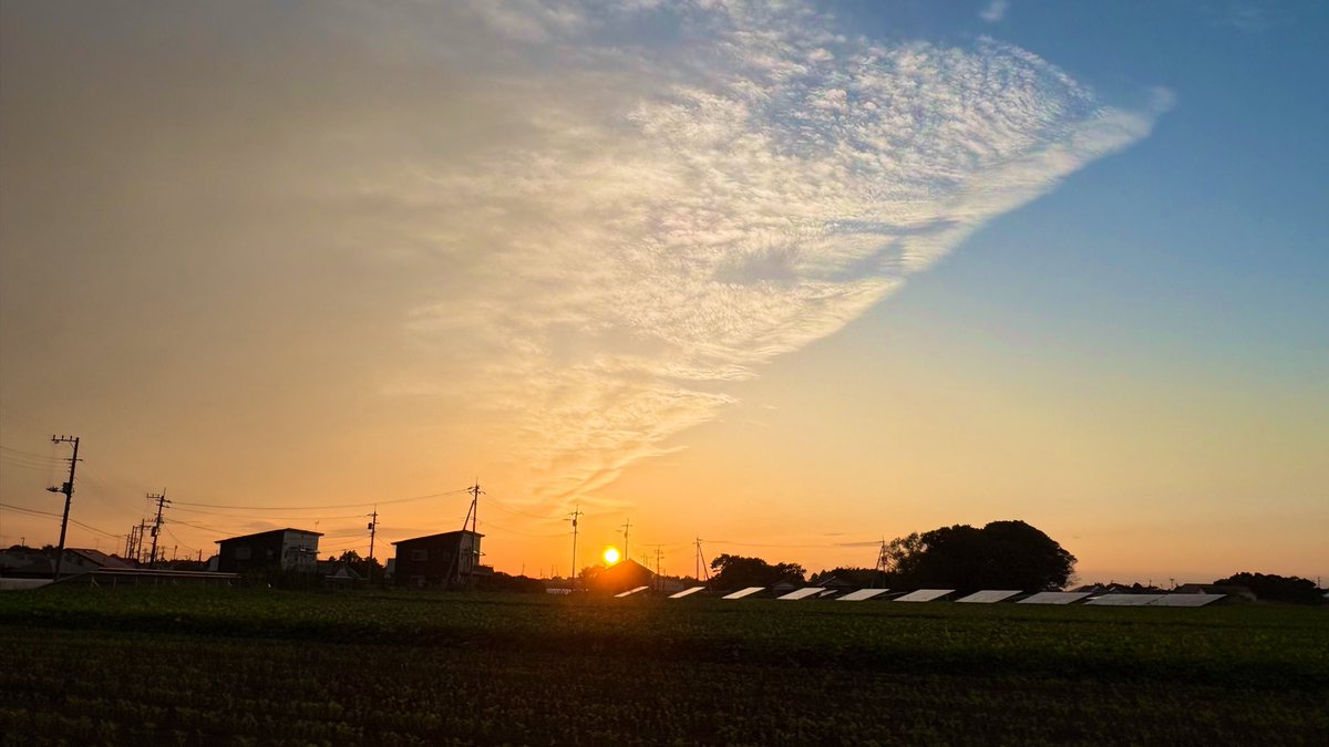 Kazahappy's tweet photo. 寝れずに明けた土曜日

ほうれん草の種まいて🌱
海入って、夕焼け散歩

世間は月見バーガー
ススキも月見の準備してる🌾

2026.9.5 https://t.co/xclc59SKCj