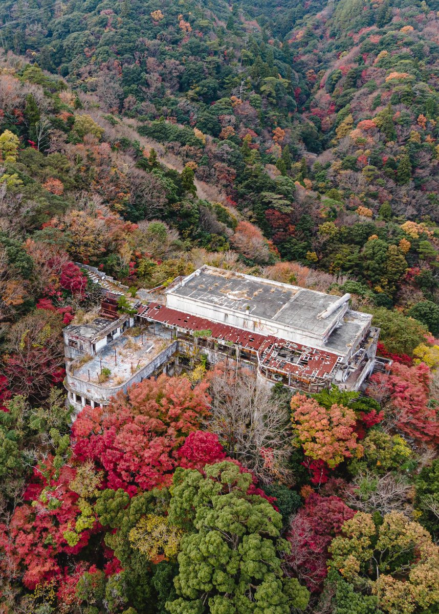 urbex_34's tweet photo. 日本で一番紅葉が綺麗な廃墟。摩耶山の中腹に位置する、摩耶観光ホテル。 https://t.co/Z2C9Zcydfk
