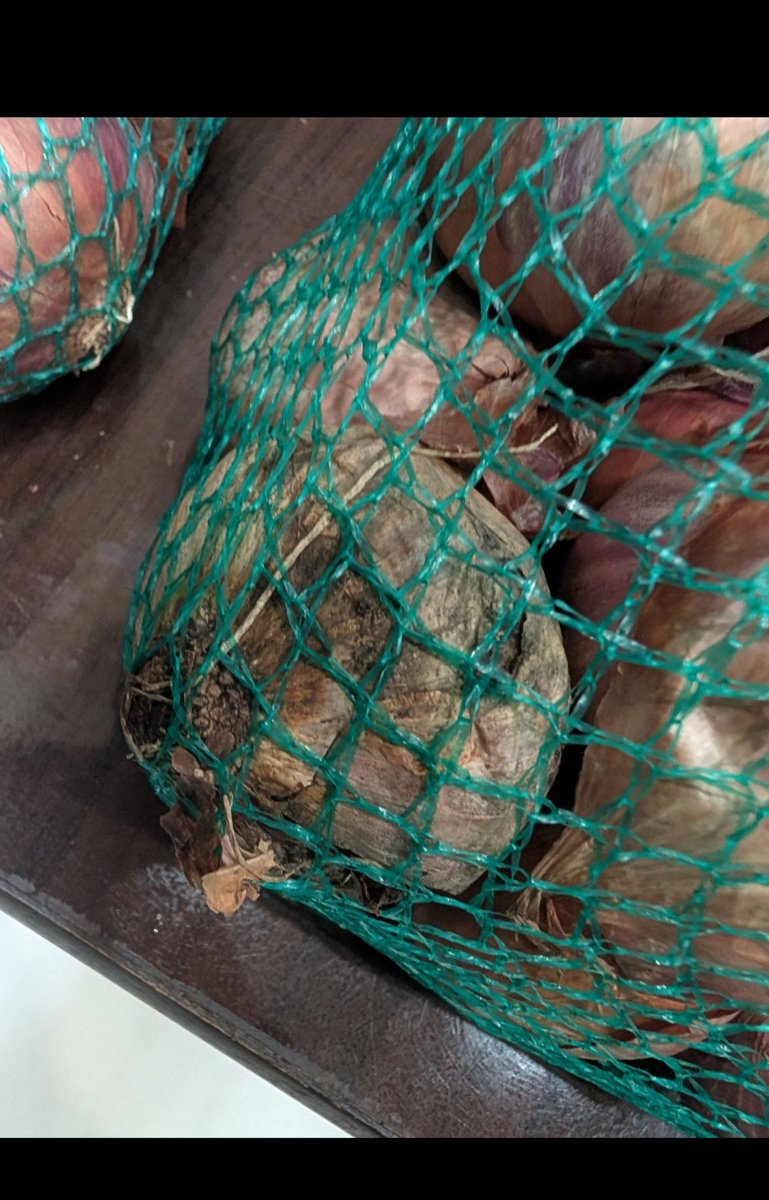 groversahil511's tweet photo. @bigbasket_com  unacceptable! onions delivered were rotten and extremely poor in quality. This is not the standard customers expect after paying for fresh produce. Arrange an immediate refund/replacement. Such quality should never be delivered.

BNN-2092914312-20260905
Order ID https://t.co/c8ZAA306pn