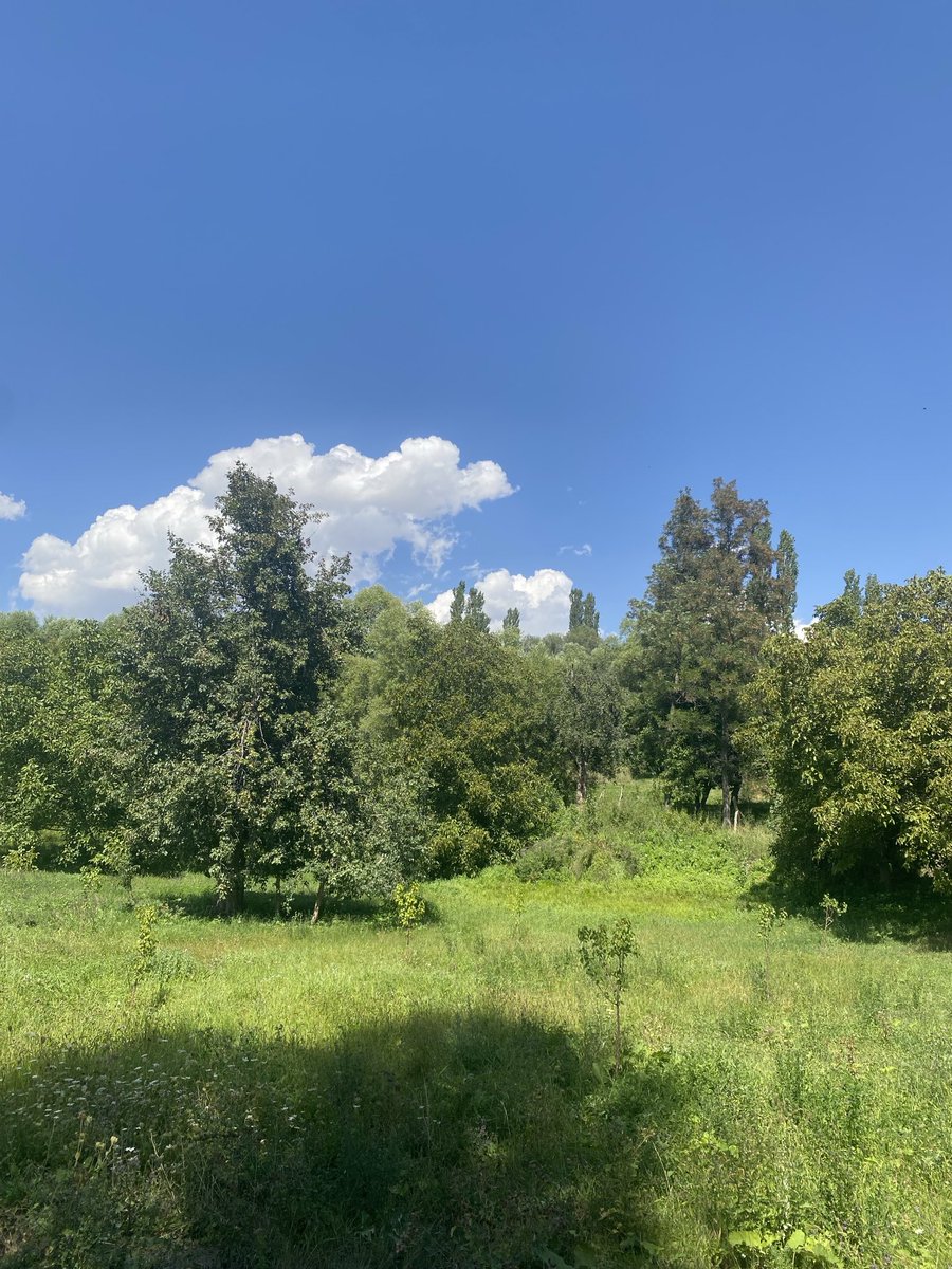 PkHuseyin's tweet photo. 📍Kars - Kağızman- Günindi köyü ( Kers)
Çocukluk hatıralarının dün gibi yeni ve   canlı olduğu bahçemiz. 
Ağacın dalları gökyüzüne doğru ne kadar yükselse de kökleri de bir o kadar derine doğru . https://t.co/nGmmjDCklx