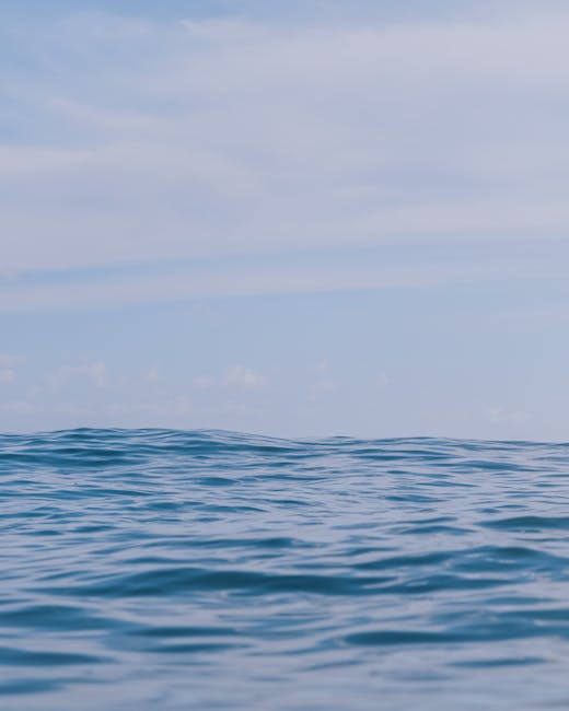 GwennCuarttcl's tweet photo. دعمك هو صخرة يمكنني الاعتماد شكرا صديقي. نصيحتك تقدر بثمن. شكرا عليها. يا لا يا صديقي. georgianne kirgan https://t.co/voFRz7u5N7