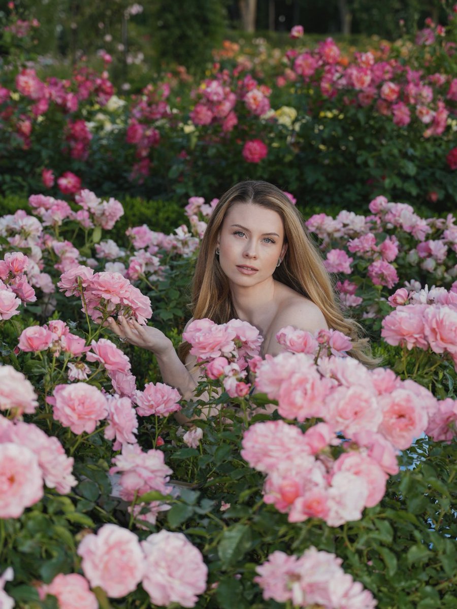 Iryna_Potocka's tweet photo. Early September, enjoying the last beautiful roses of summer in Bournemouth https://t.co/CWmFQDQAjE