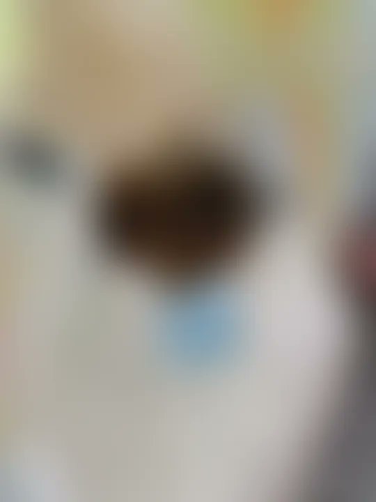 allie_squishy's tweet photo. I just posted new content on Scatbook. You can see it at https://t.co/CiJDKvNeoC https://t.co/KM1PH1Rkfd