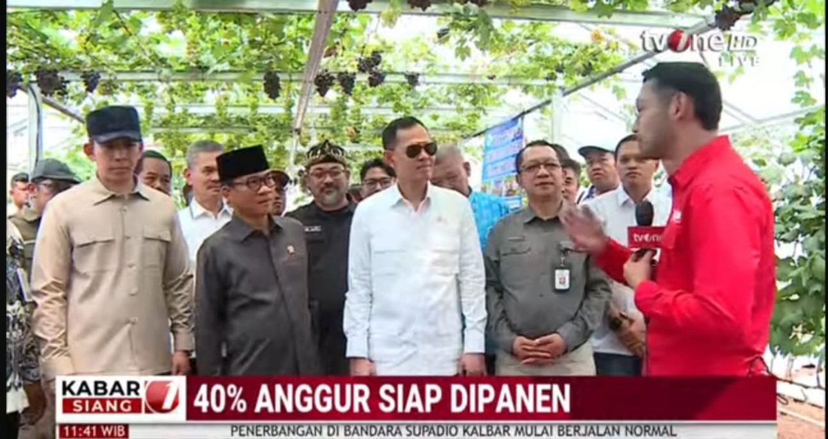 djanzenkabelen's tweet photo. MENTERI DESA Yandri Susanto Sabtu 5 Sept 2026 Panen Anggur di Kebun Anggur Merak Berseri Desa  Merak Batin Lampung Selatan menginspirasi semangat untuk memajukan BUMDES di seluruh desa-desa di Indonesia. #KebunAnggurBUMDES #DesaBerdayaWargaSejahtera #KemendesaPDT
#TPPBerdampak https://t.co/v7B8DTQpO7