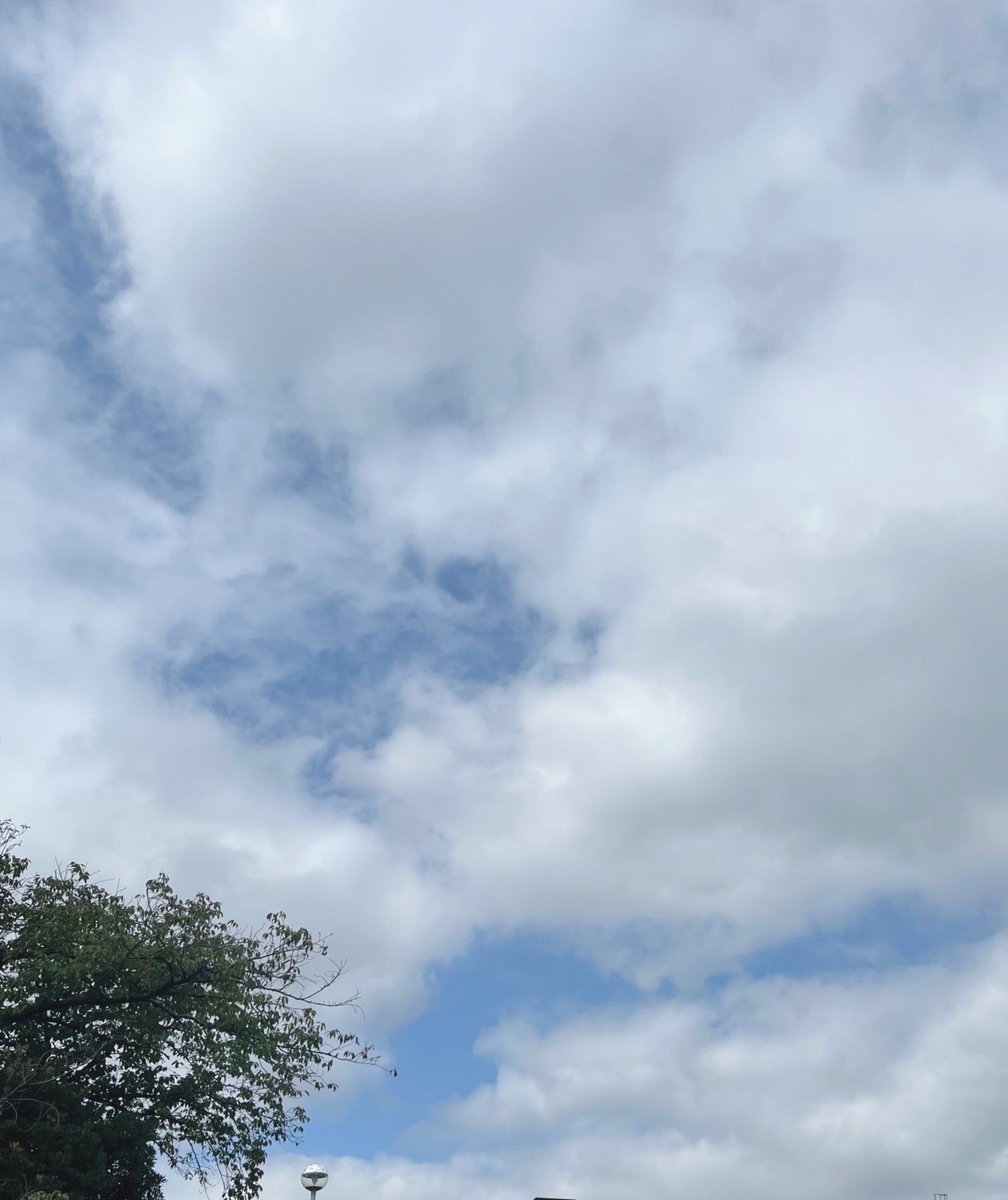 ThaisDayanee's tweet photo. 9月になったけど、
外に出るとまだまだ夏😂

少し涼しい日が続いたから
このまま秋に向かうのかな〜なんて
思ってたんですけどね🍂 https://t.co/yyhkLUkTBH