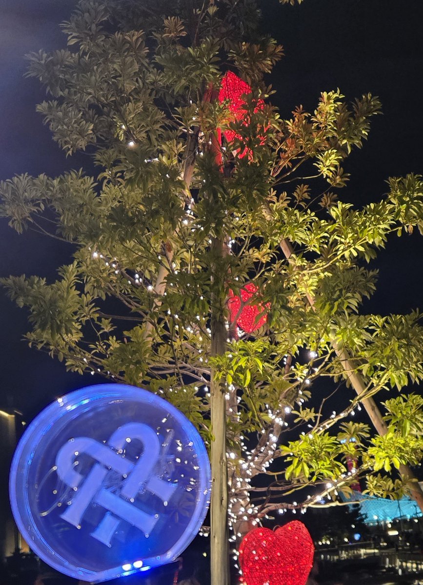 kouchazuke_15's tweet photo. キャプテン！最高のライブをありがとうございました！

銀テをくれた素敵なお姉さんも！ありがとうございました！

…まだ内緒！内緒ね！
初日はご褒美ですね！！
#Checkpoint https://t.co/a4qd7djDgx