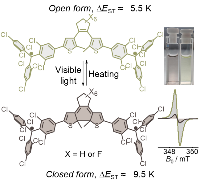 XingmaoChang's tweet photo. What happens when a π-switchable dithienylethene linker meets a luminescent trityl diradicaloid?
Bistable optical, electrochemical, and magnetic switching👉
https://t.co/LSqK0Ug0pI
@angew_chem @mvdelius https://t.co/aWmgVLm7M9