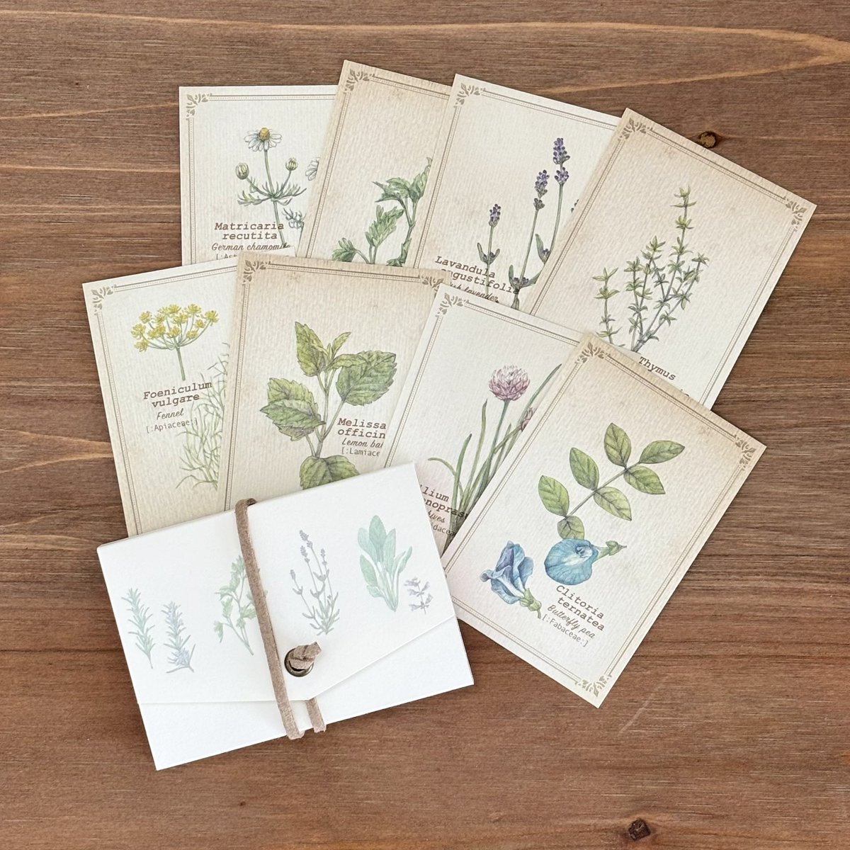 mcr_0315's tweet photo. 八ヶ岳で買ったメッセージカード🌿 https://t.co/OPugXgmpVL