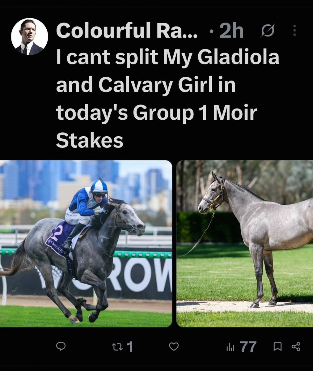 RacingIdentity's tweet photo. @7horseracing @jamieleemott @RedgumRacing https://t.co/h7yBnUsom4
