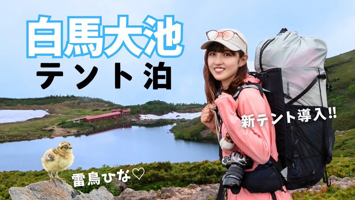 yamacook1's tweet photo. テント泊【白馬大池〜小蓮華山】
高山植物とライチョウの楽園でした🐣🌸

https://t.co/hiCZPjeCcv https://t.co/aOSVzp8ci2