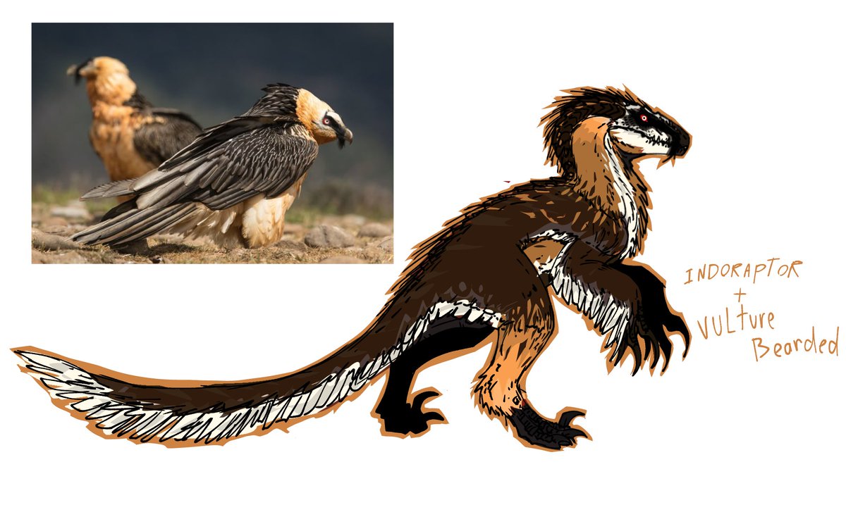 kaproc_01's tweet photo. Here we go

INDORAPTOR AS VULTURE BEARDEEEEED https://t.co/nRtiOT67we