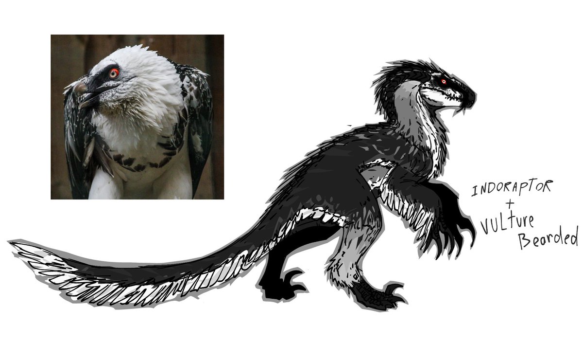 kaproc_01's tweet photo. Here we go

INDORAPTOR AS VULTURE BEARDEEEEED https://t.co/nRtiOT67we