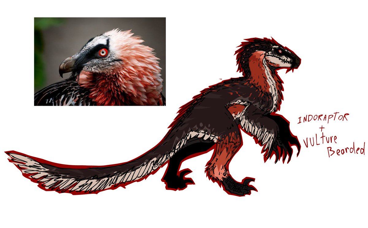 kaproc_01's tweet photo. Here we go

INDORAPTOR AS VULTURE BEARDEEEEED https://t.co/nRtiOT67we