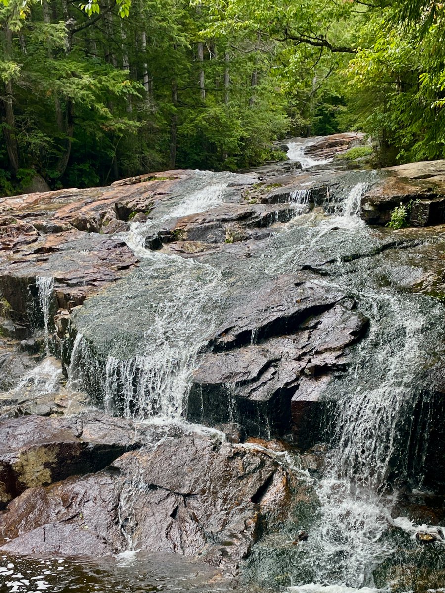 IamMiles_Walker's tweet photo. #NatureArt🎨 #HikingView

“Wishing you a spectacular Saturday 😁” https://t.co/DWQljMNAJA