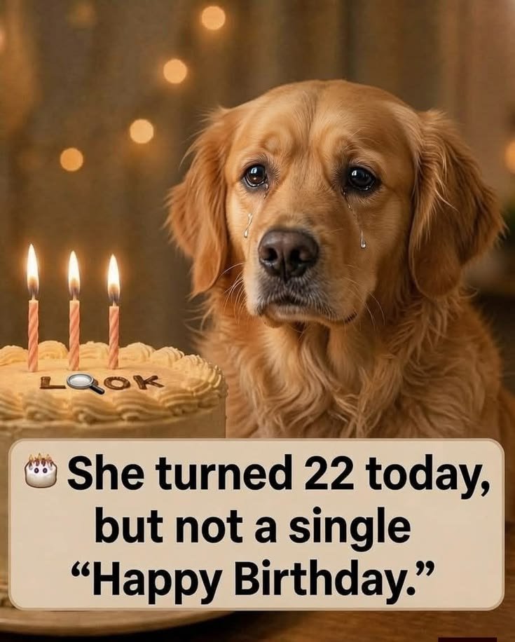 puppiesDoglover's tweet photo. https://t.co/lCuq1WAVnR
