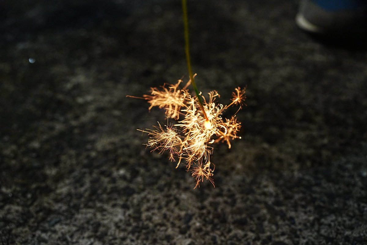 keee_abc's tweet photo. 花火！
#α7cII https://t.co/81xrOmN6n4