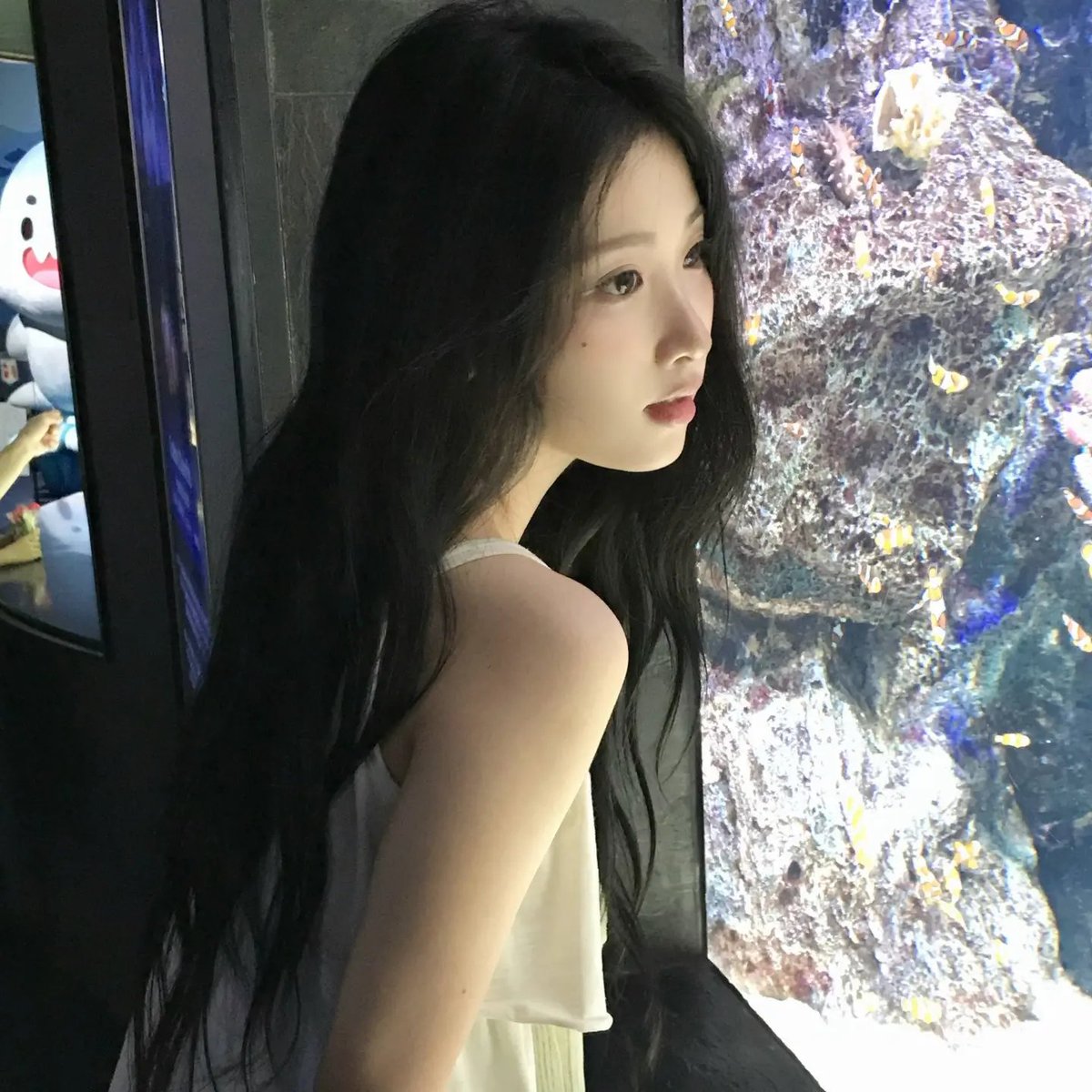 solbii09's tweet photo. 260903 인스타그램

물고기 구경 🐟🐠

#Do0T #Do0Tproject #솔비 #박솔비 https://t.co/sFLPzfnk6B