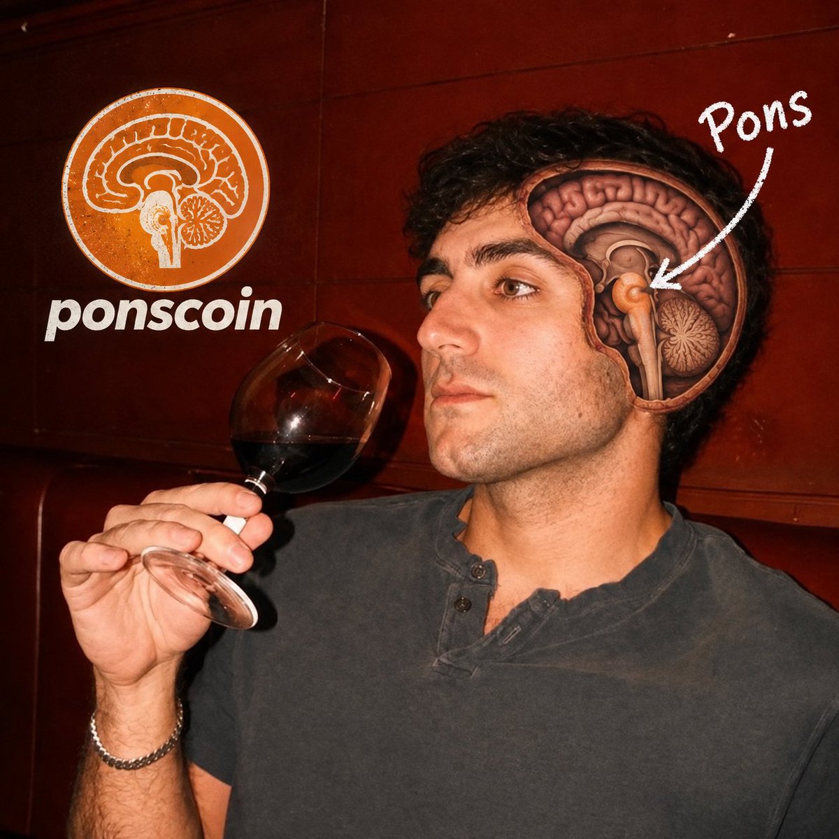 theponscoin's tweet photo. @rasmr_eth part of the brain bro https://t.co/ITbSWNNqe1