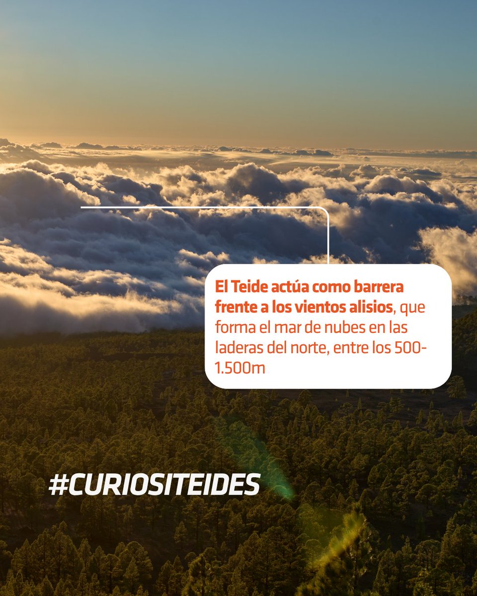 VolcanoTeide's tweet photo. No es sólo el punto más alto de Tenerife, ¡también es el factor geográfico que explica sus muchos microclimas! 🧡​
👉 ¡Desliza a la derecha y descubre cómo El Teide y la dorsal de Pedro Gil influyen en el clima de toda la isla!​
· ​
#teidelover #volcanoteide #guardianesdelteide https://t.co/eJFh4HIGFo