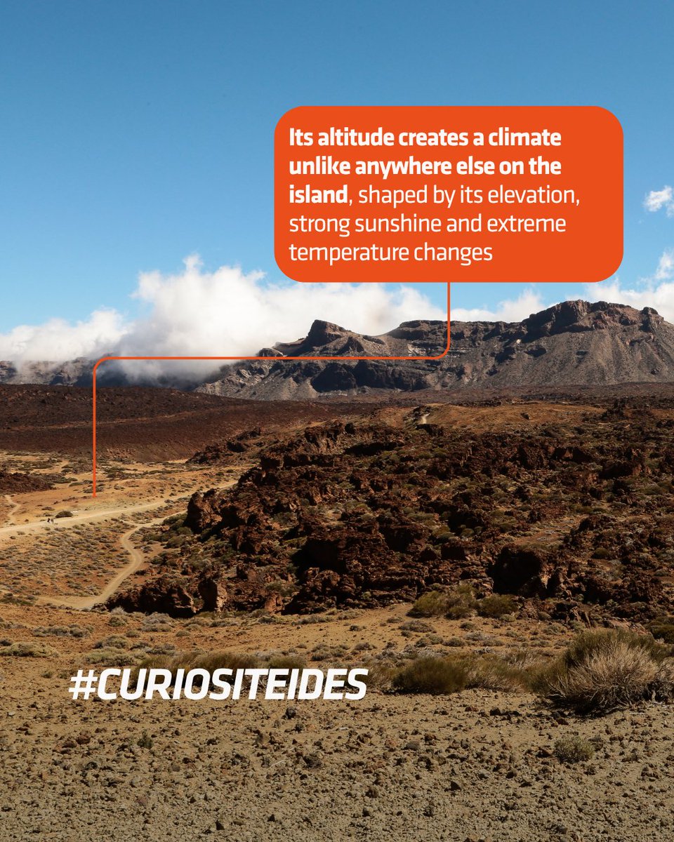 VolcanoTeide's tweet photo. It’s not just the highest point in Tenerife. It’s also the key geographical factor behind its many microclimates! 🧡​
👉 Swipe right and discover how Teide and the Pedro Gil Ridge influence the weather across the entire island! 🌧️🌞​
#teidelover #volcanoteide #guardianesdelteide https://t.co/BLbFbRpQVm