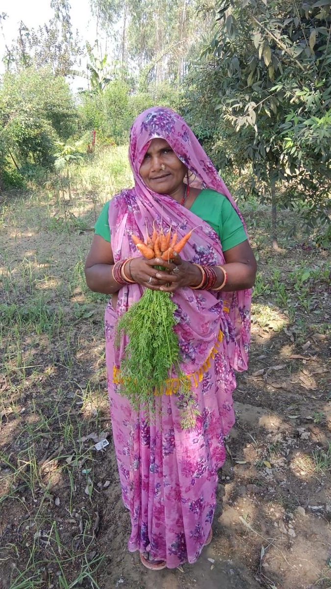 manoj_naandi's tweet photo. On #TeachersDay I salute and bow my head to these Women Entrepreneurs aka Farmers in Shravasti, Uttar Pradesh. These are just four of a 100,000 that we work with to create Good Food Corners as part of @naandi_india effort to create a nationwide Good Food for All network where women produce all the food for their homes in small patches of land learning for the first time Regenerative Organic Agriculture of Naandi Foundation. They have learned, taught and impacted a million lives in their villages.

They are both the best students and teachers I have met last two years. 

(Thank you @MahindraRise for supporting this initiative year after year as part of the CSR initiatives.🙏)