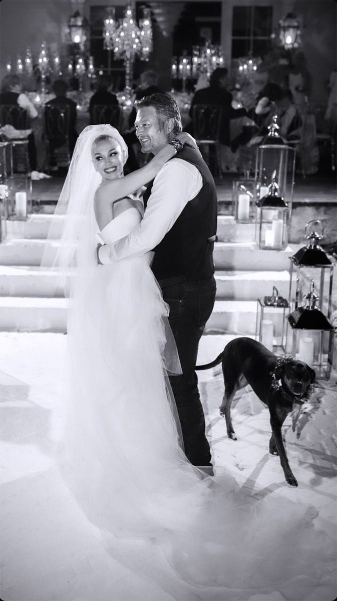 jaycialexander's tweet photo. Betty, you will be missed. 🤍🐾

#blakeshelton #gwenstefani #shefani https://t.co/a4rNc3NVYI