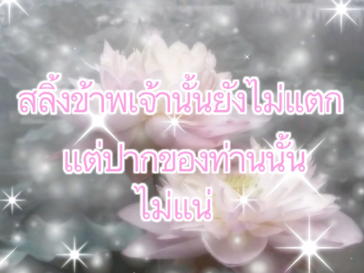 YW012311's tweet photo. .
                   🕯️          🕯️
        🕯️                               🕯️
                      
    🕯                🧘🏻‍♀️               🕯️
                  
         🕯️                             🕯️
                   🕯️         🕯️ https://t.co/aGXAewM2Te