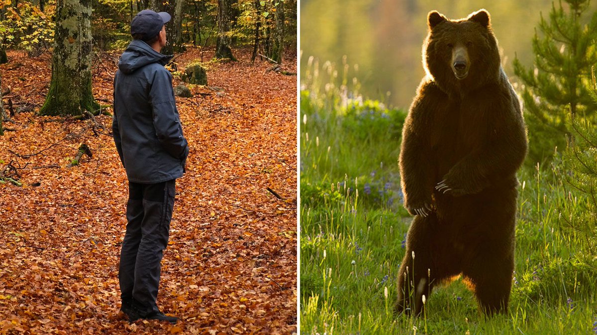 BiblesForFree's tweet photo. My response to those (mostly women) who viscerally respond to my gut reaction regarding the Lindsay Clancy verdict is simple...

"Man?

"Or bear?"

Let us all strive for consistency, shall we?

#SaveTheBabyHumans 
#Abolitionist https://t.co/Ueb5WO2F1e