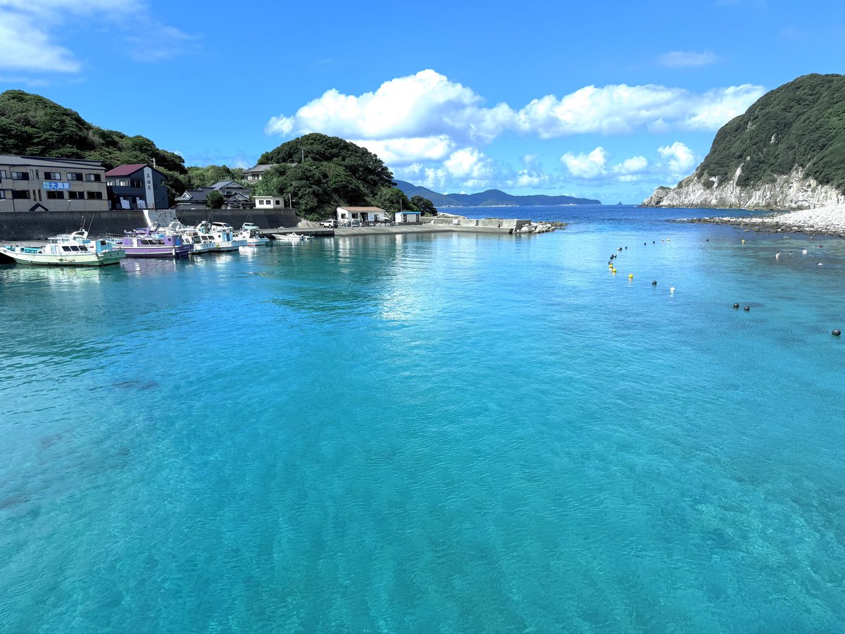 daisukewater's tweet photo. 約1年振りの柏島。
変わらず美しいブルーの海。
高知県大月町。

#柏島
#大月町 https://t.co/pVhiLYcMEE