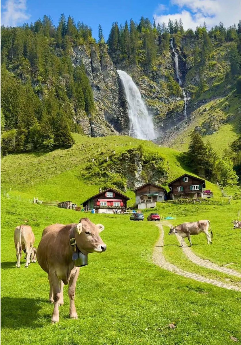 earthserenityy's tweet photo. Switzerland https://t.co/hhzgpU2gtW