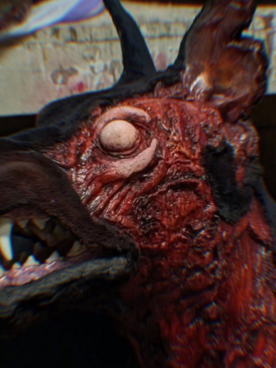 BioDeclassified's tweet photo. EXCLUSIVE: First glimpse at our RE1 Prequel Film and some of the unfortunate monsters ahead… shooting starts NEXT WEEK.

All practical, no CGI on this one!

🖼️ @sculptordie https://t.co/85wlBIfr5i