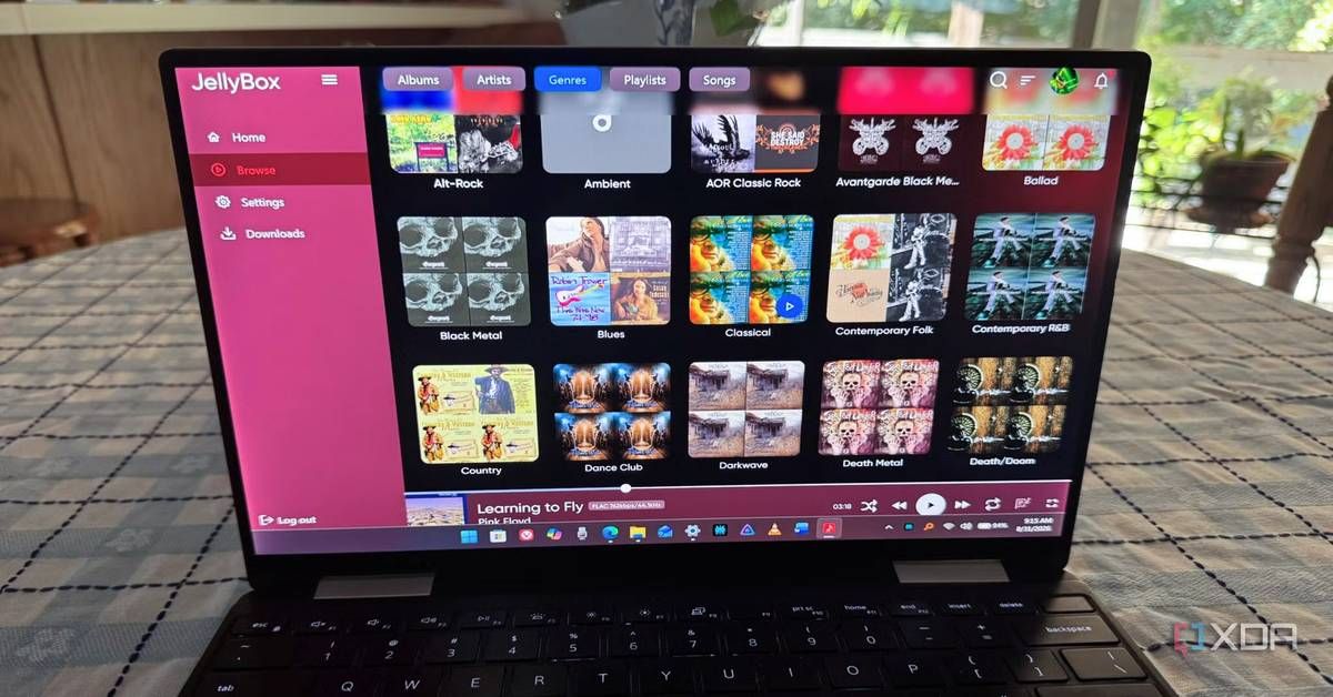 I turned Jellyfin into the Spotify alternative I've always wanted with this app
