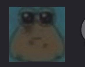 tehevixen's tweet photo. Roblox i’m just trying to play volleyball legends fix ur shit NOW https://t.co/MOkz5k48N2