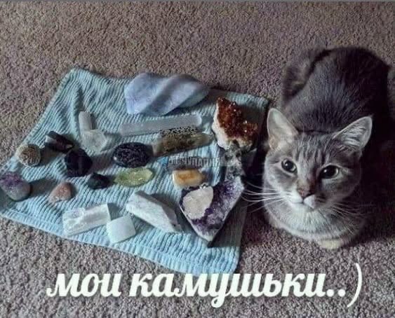 makaevaav's tweet photo. Я стабильно после похода на море https://t.co/9F05Et75bG