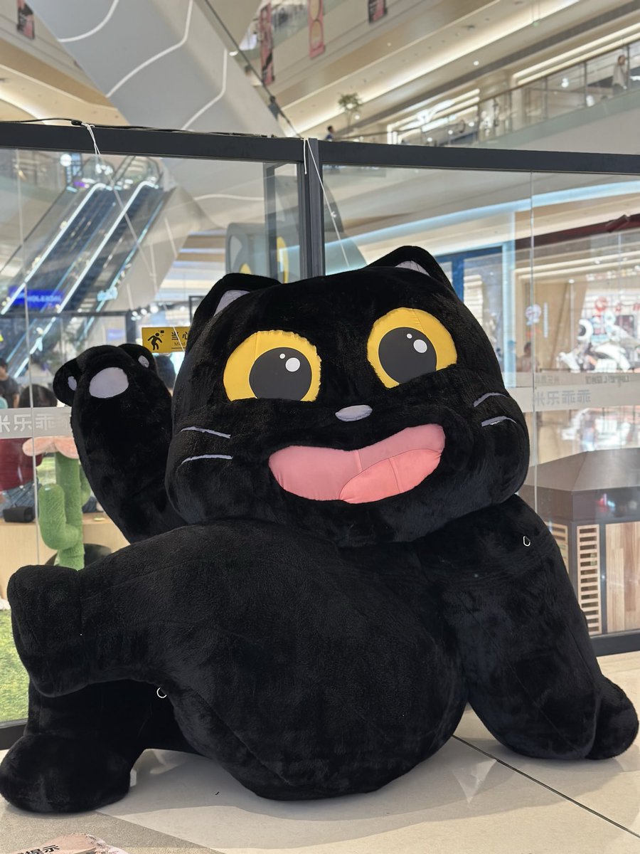 bluehannn's tweet photo. Hiii~可爱的小猫咪！
你怎么这么萌呀😽💖 https://t.co/BsBbbxDCdx