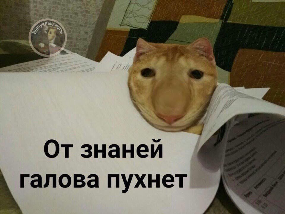 makaevaav's tweet photo. Первый раз села делать домашку по химии https://t.co/3A6KVX4gf7