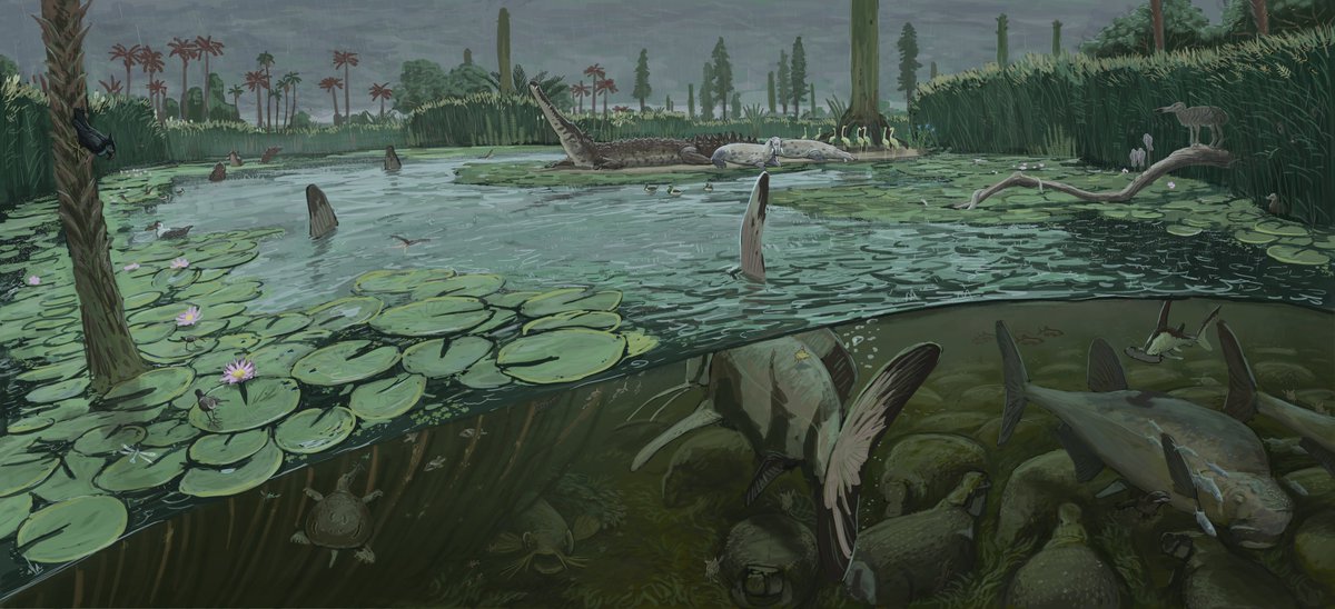 JoschuaKnuppe's tweet photo. Result from the fifth Lemuria stream! In this we covered the fauna and flora of the deltas. These in-between habitats house a wide array of critters that go in and out of water and in and out of the sea. Giant carps and algae munching simosuchids are a common sight. https://t.co/HNqgxFwEFQ